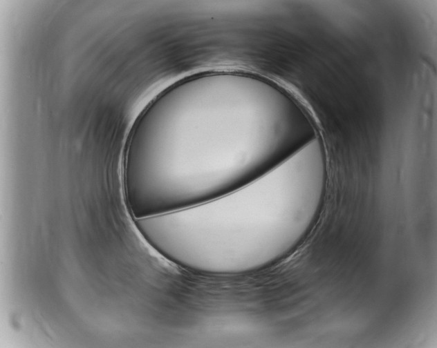 X0000099531343200805160716