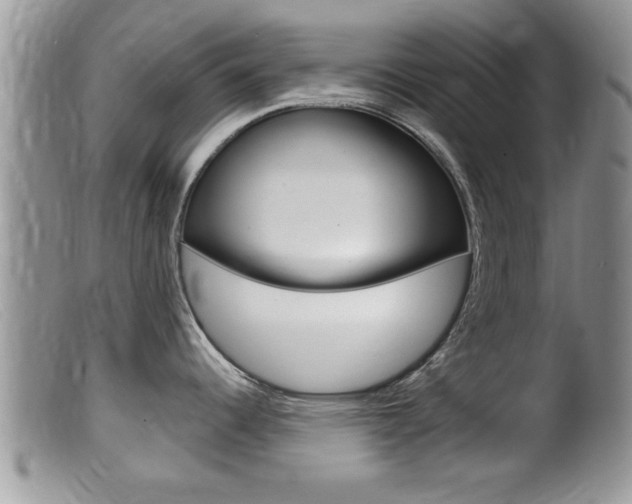 X0000099531344200805160716