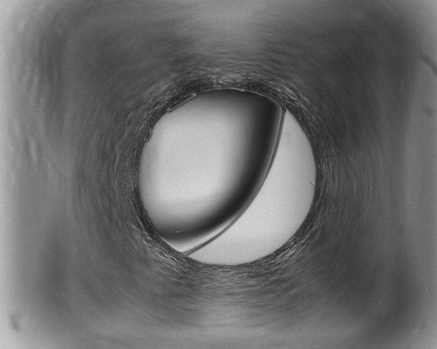 X0000099531345200805160715