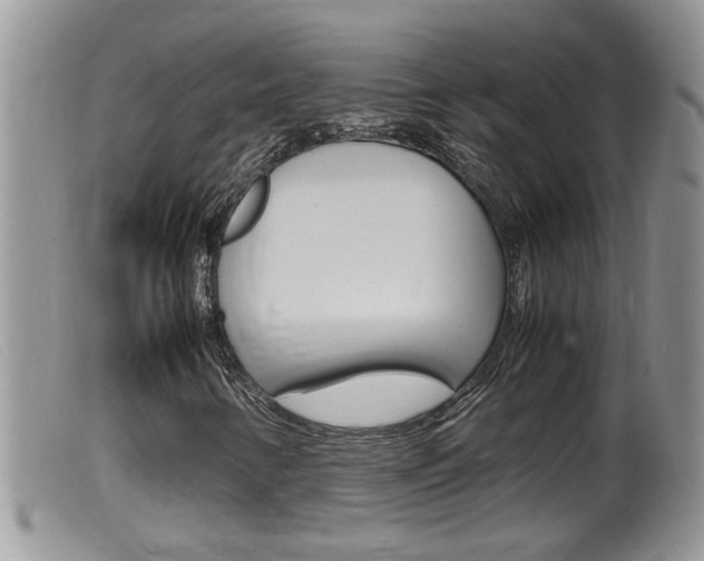X0000099531346200805160715