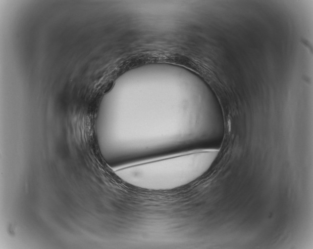 X0000099531347200805160715
