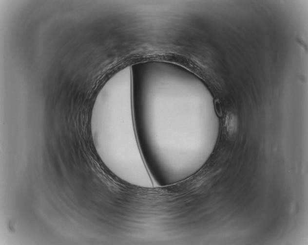 X0000099531348200805160715