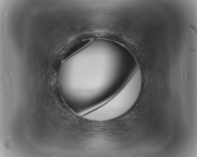 X0000099531349200805160715