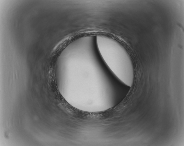 X0000099531351200805160715