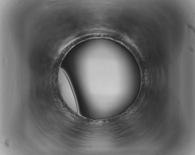X0000099531352200805160715