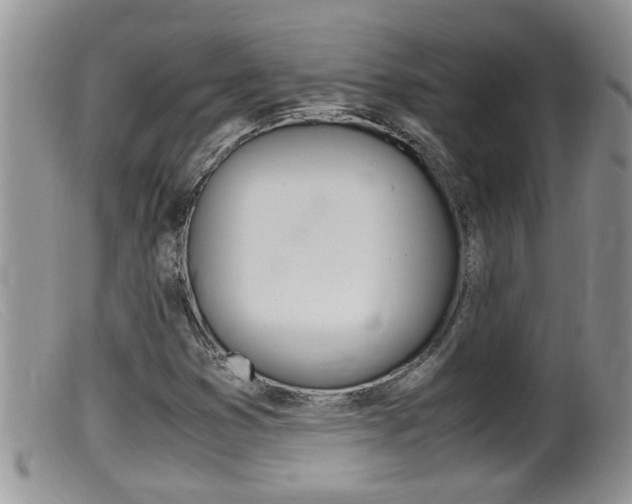 X0000099531353200805160715