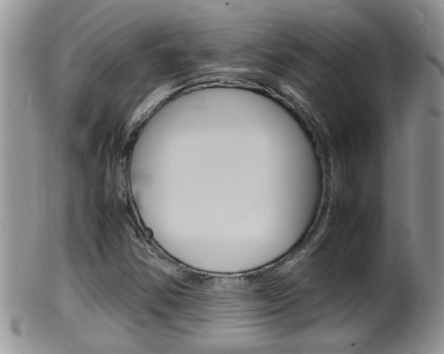 X0000099531354200805160715