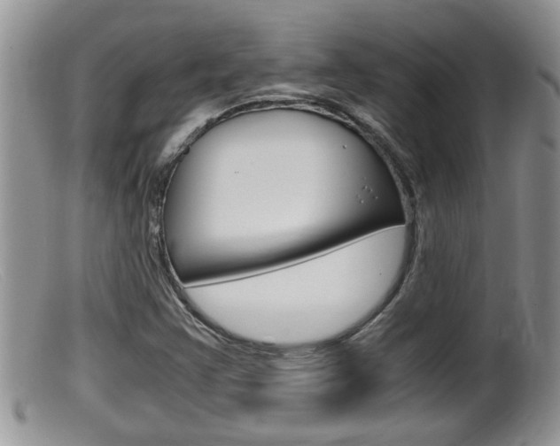 X0000099531355200805160715