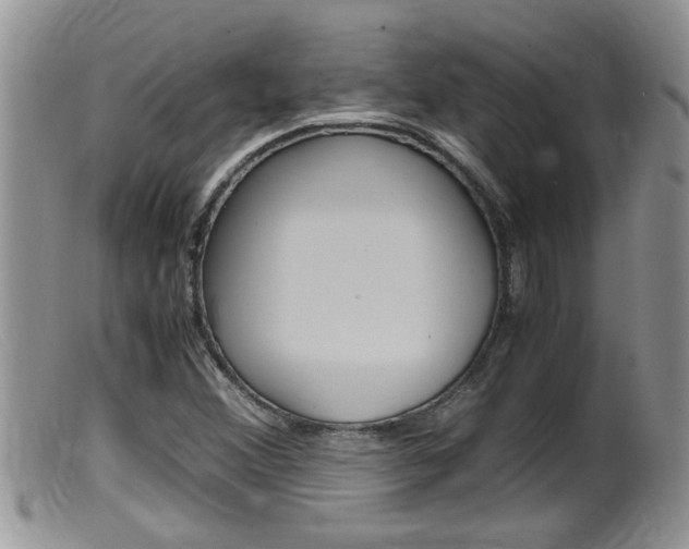 X0000099531356200805160715