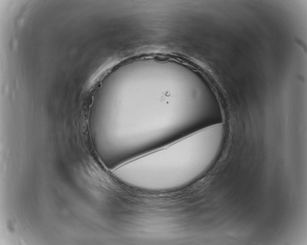 X0000099531359200805160715