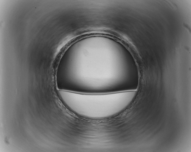 X0000099531360200805160715