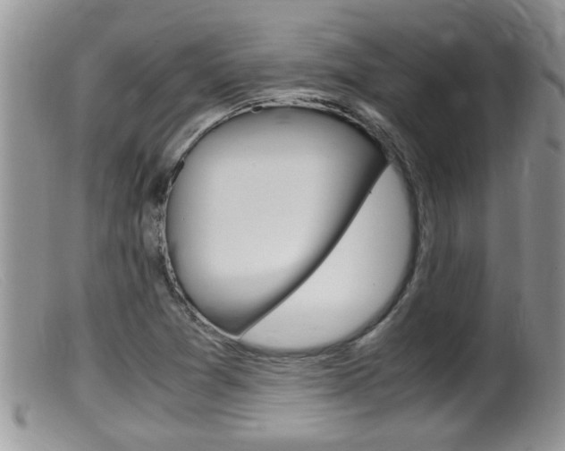 X0000099531361200805160715