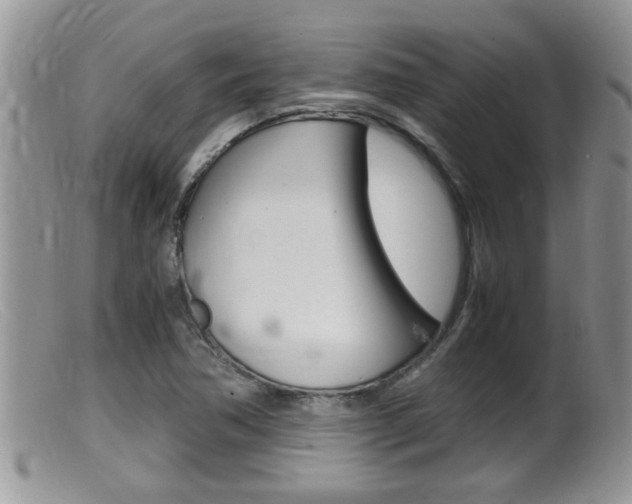 X0000099531362200805160715