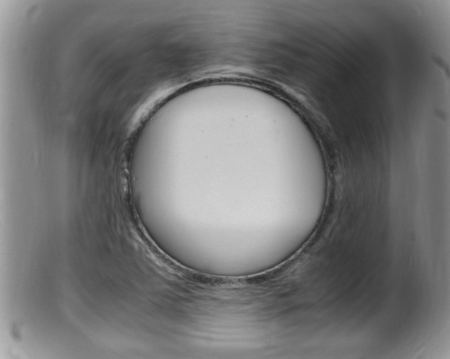 X0000099531363200805160715