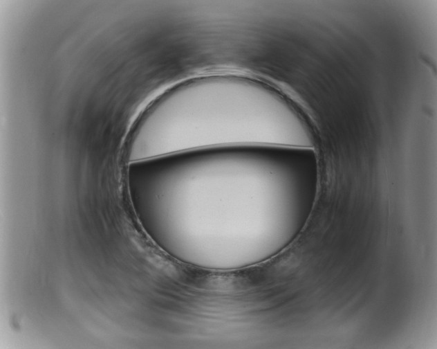 X0000099531364200805160715
