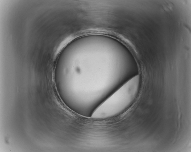 X0000099531365200805160715