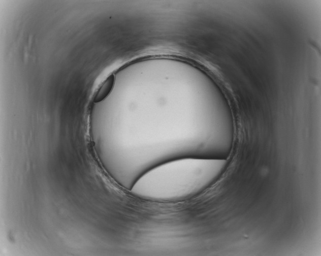 X0000099531366200805160715