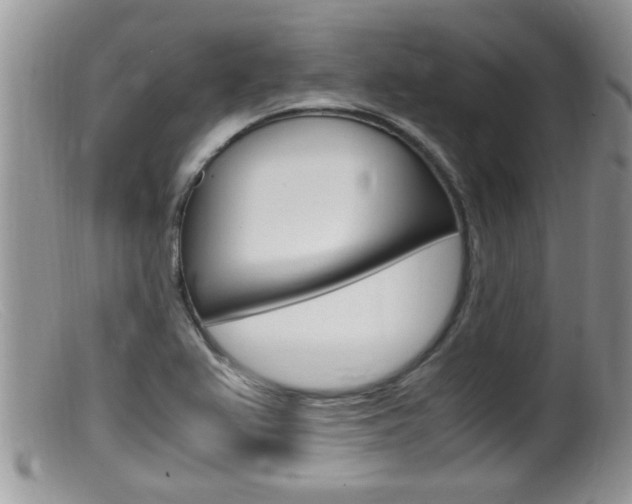 X0000099531367200805160715
