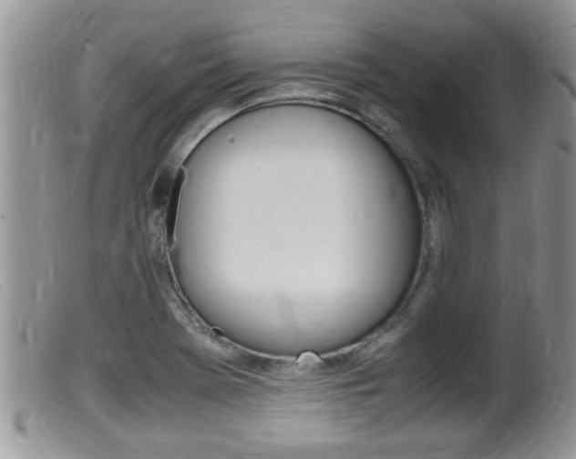 X0000099531369200805160715