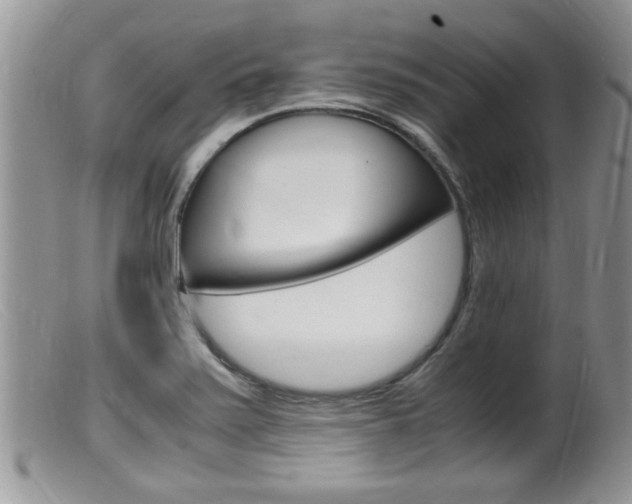 X0000099531371200805160715