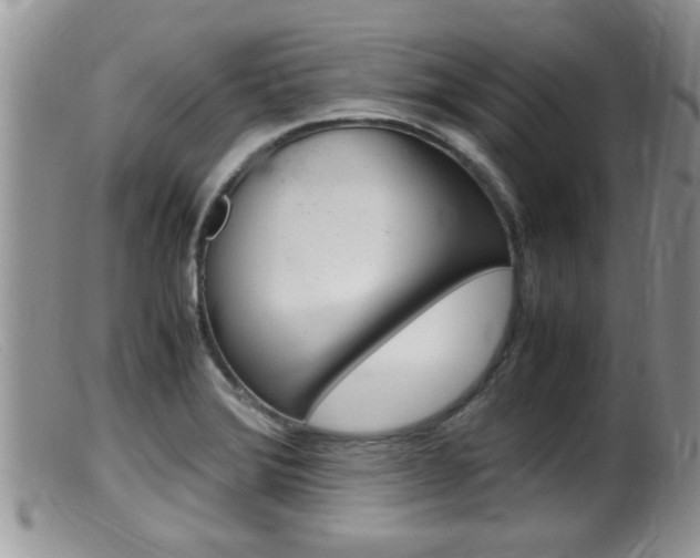 X0000099531372200805160715
