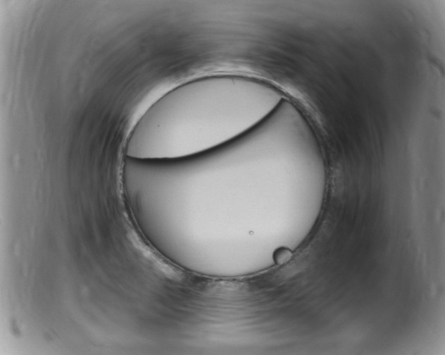X0000099531374200805160715