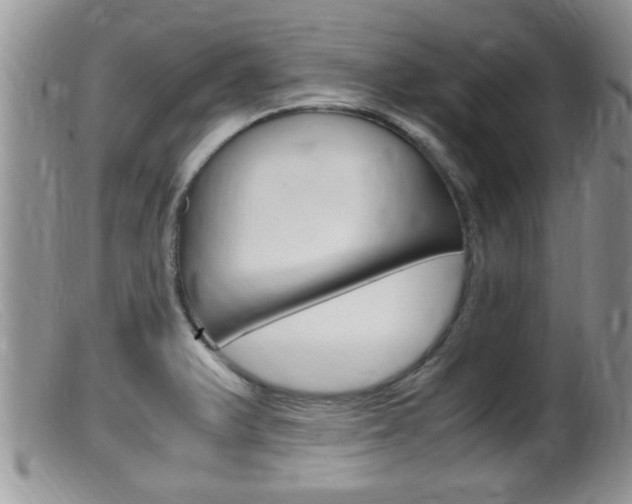 X0000099531375200805160715