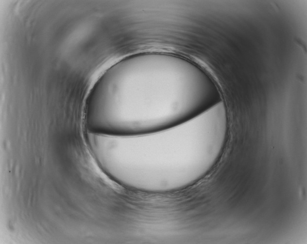 X0000099531379200805160715