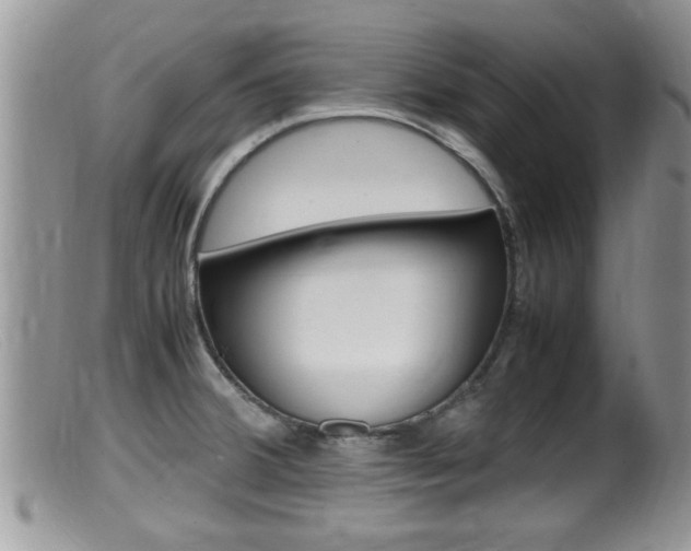 X0000099531380200805160715