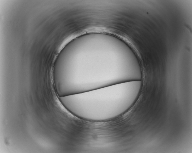 X0000099531382200805160715