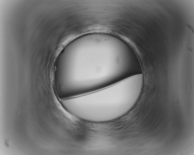X0000099531383200805160715