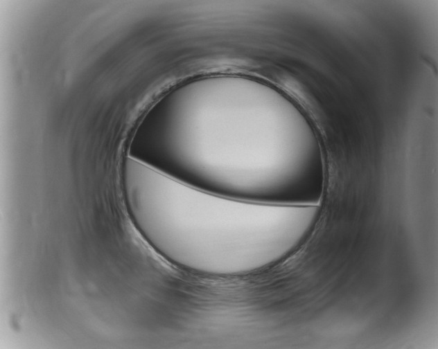 X0000099531384200805160715