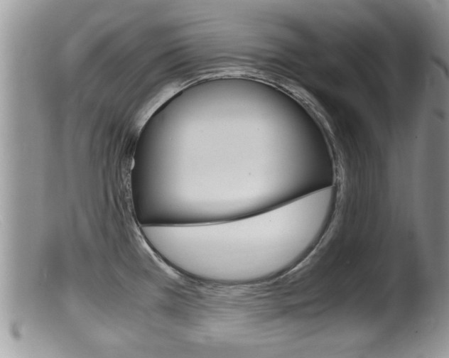 X0000099531385200805160715