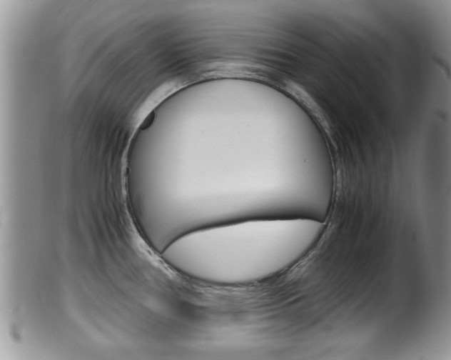 X0000099531386200805160715