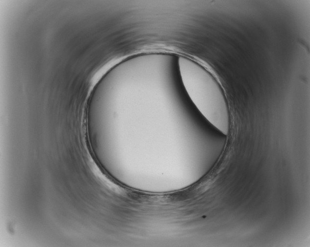 X0000099531387200805160715
