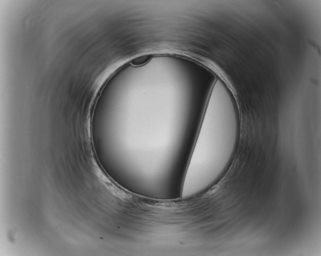 X0000099531388200805160714