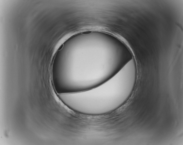 X0000099531389200805160714