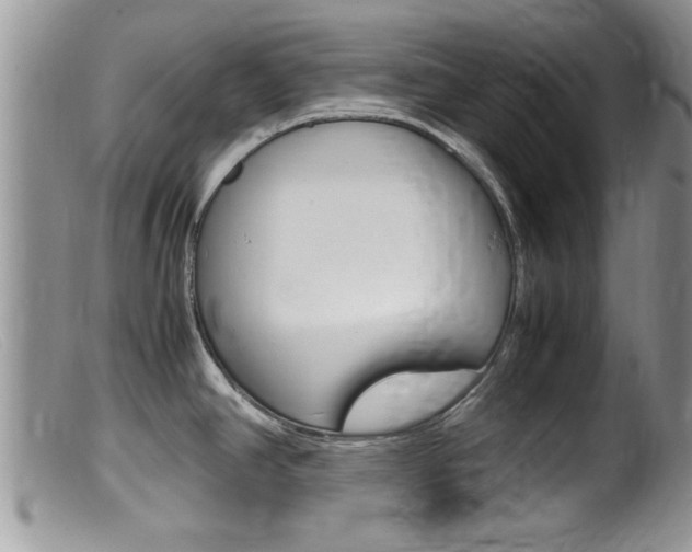 X0000099531390200805160714