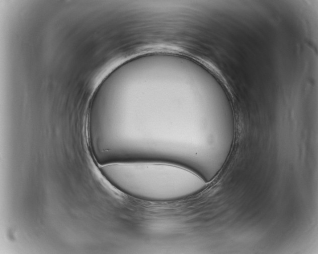 X0000099531391200805160714