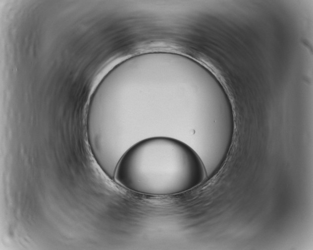 X0000099531392200805160714