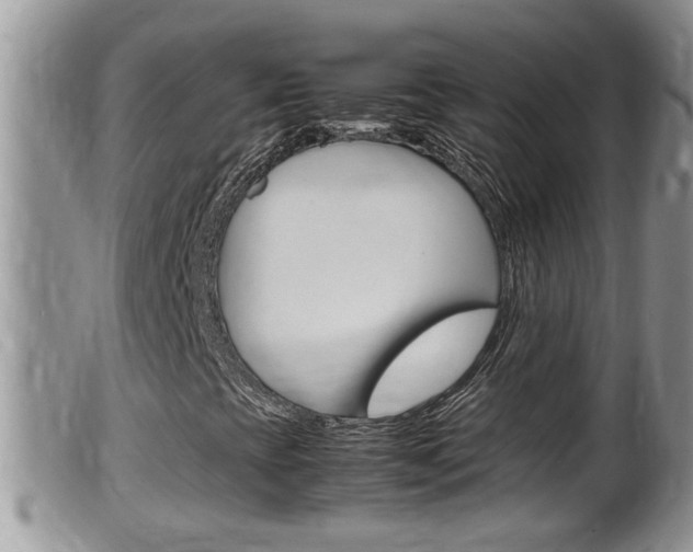 X0000099531393200805160714