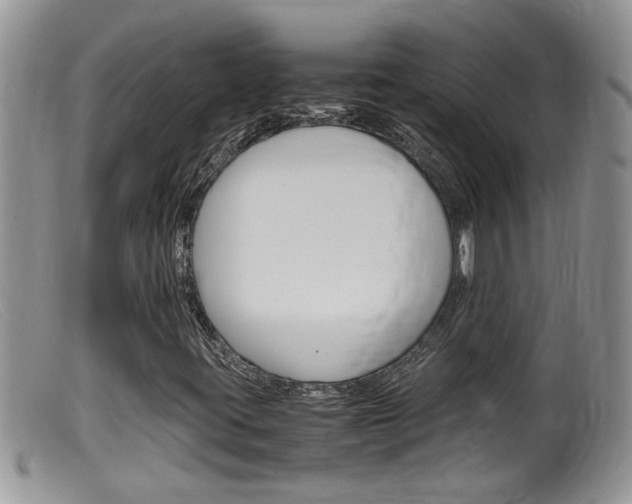 X0000099531395200805160714