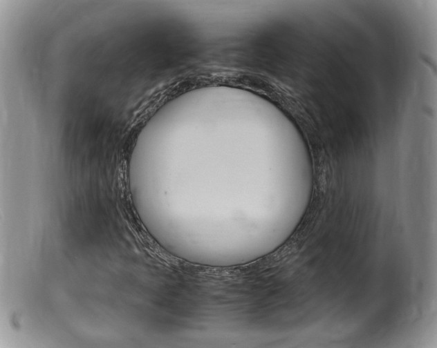 X0000099531397200805160714
