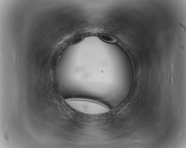 X0000099531398200805160714