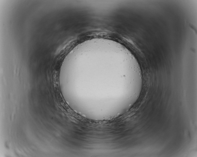 X0000099531399200805160714