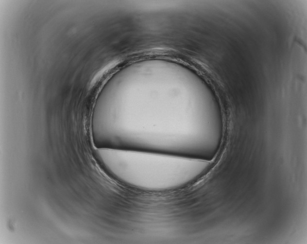 X0000099531402200805160714