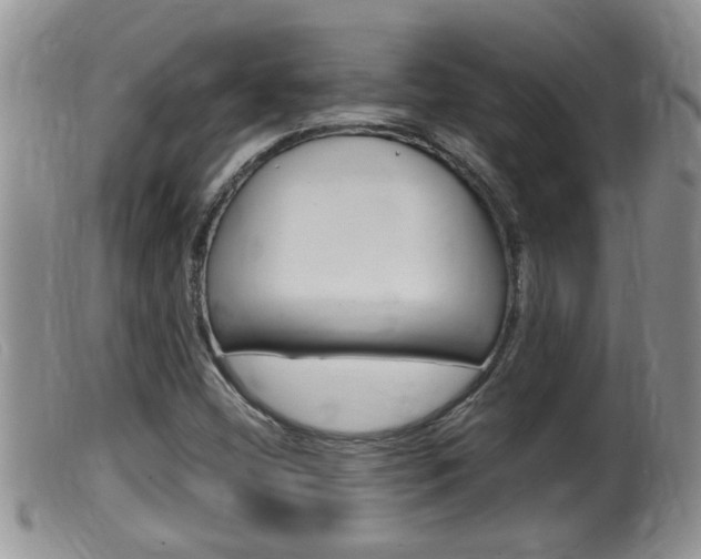 X0000099531404200805160714