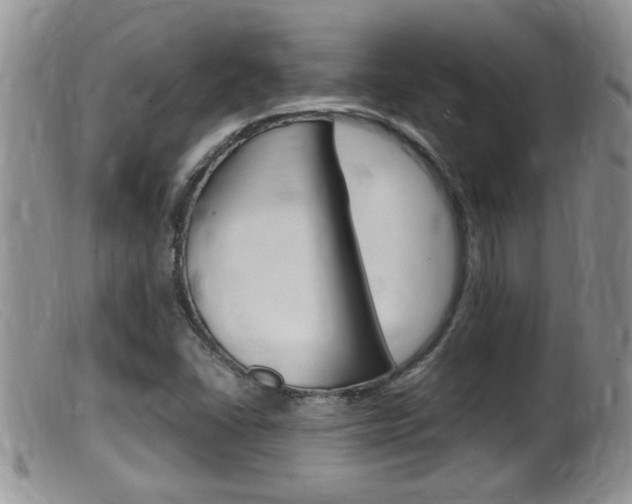 X0000099531406200805160714