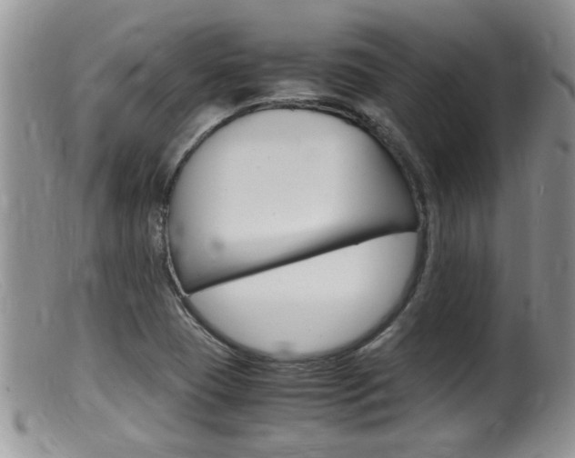 X0000099531409200805160714