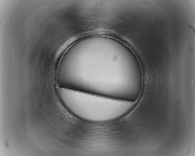 X0000099531410200805160714